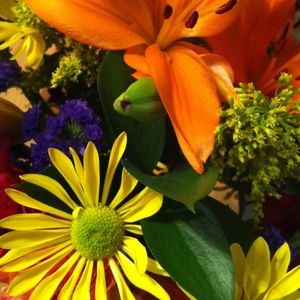 Meet your Posher, Piper